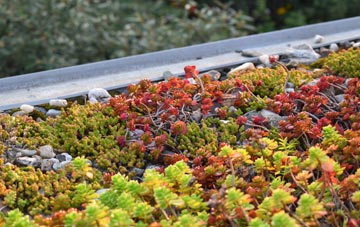 the cost of Meer Common green roof installation