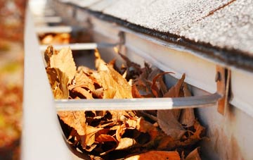 Meer Common gutter cleaning companies