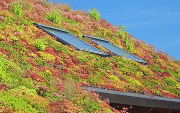 Meer Common living roof systems
