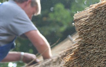 professional Meer Common thatchers