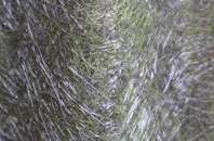 Meer Common fibreglass roof work